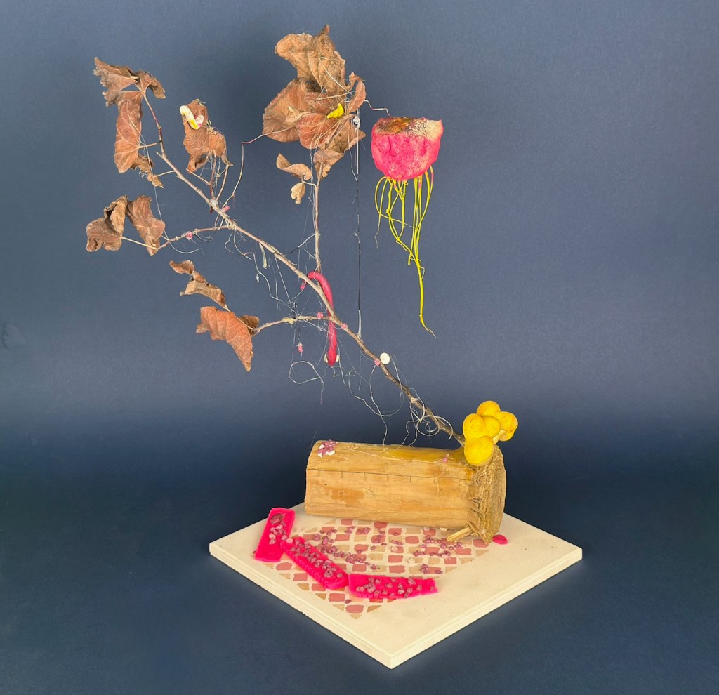 ACCUMULATE: Sculpture & Installation Inquiry Project 01
